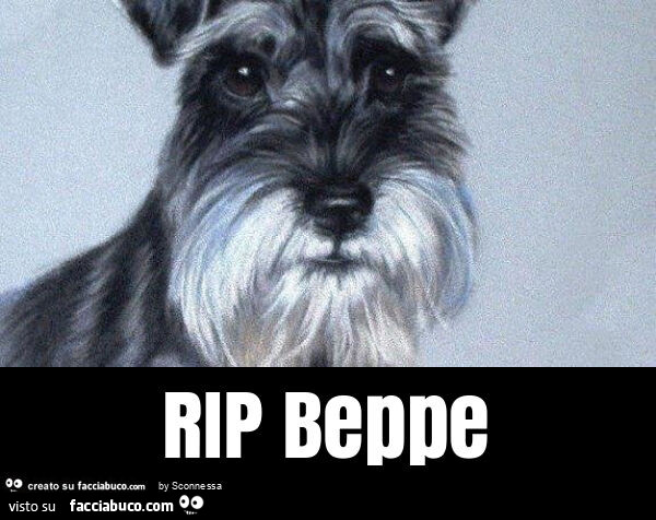 Rip beppe