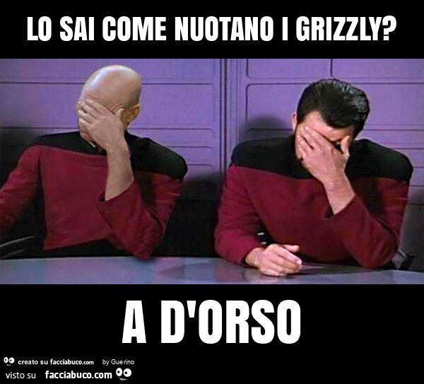 Lo sai come nuotano i grizzly? A d'orso
