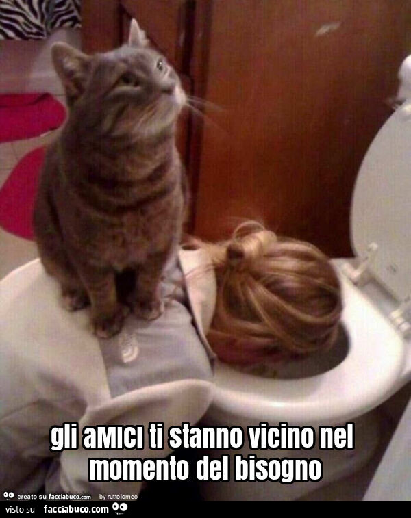 Gli amici ti stanno vicino nel momento del bisogno