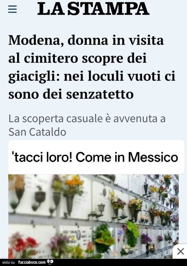 Vaccata
