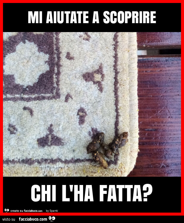 Mi aiutate a scoprire chi l'ha fatta?