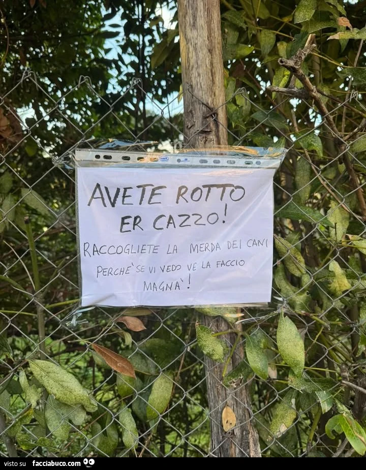 Vaccata