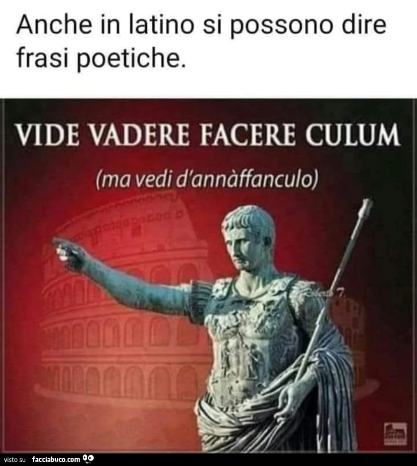 Vaccata