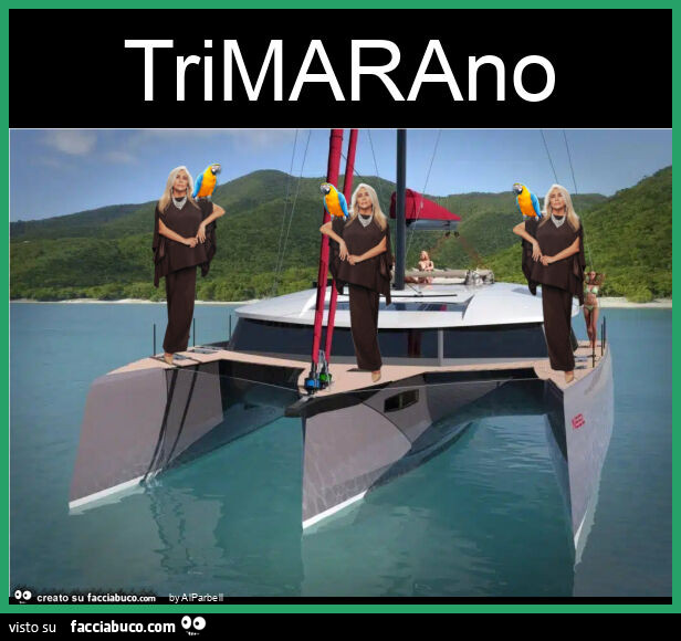 Trimarano