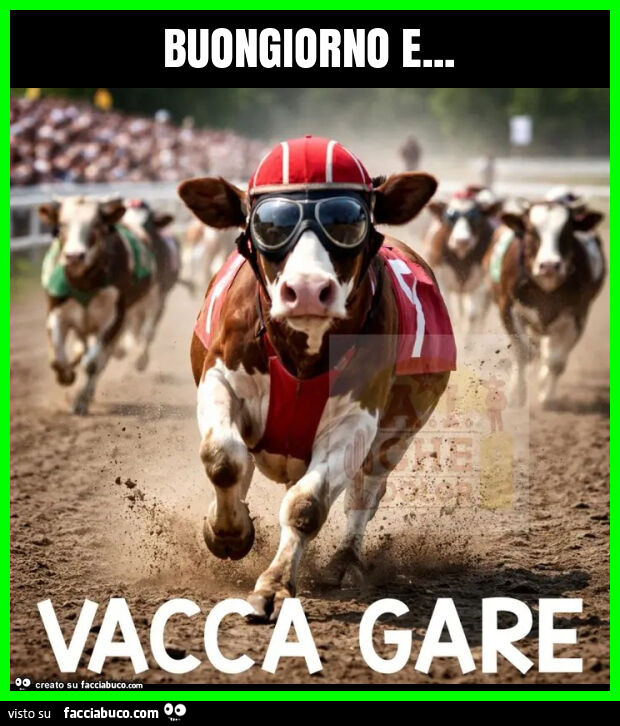 Buongiorno e