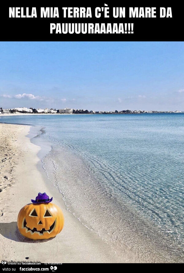 Nella mia terra c'è un mare da pauuuuraaaaa