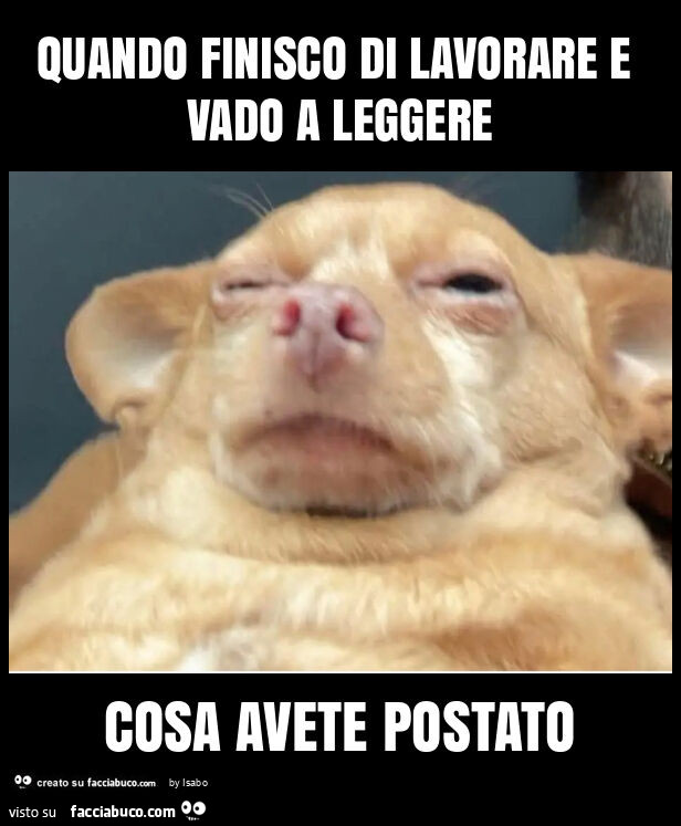 Quando finisco di lavorare e vado a leggere cosa avete postato
