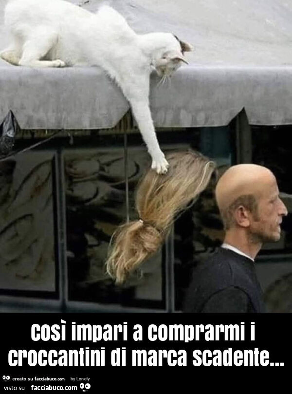 Così impari a comprarmi i croccantini di marca scadente&hellip;