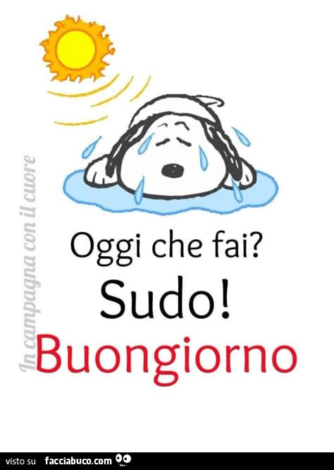 Oggi che fai? Sudo! Buongiorno