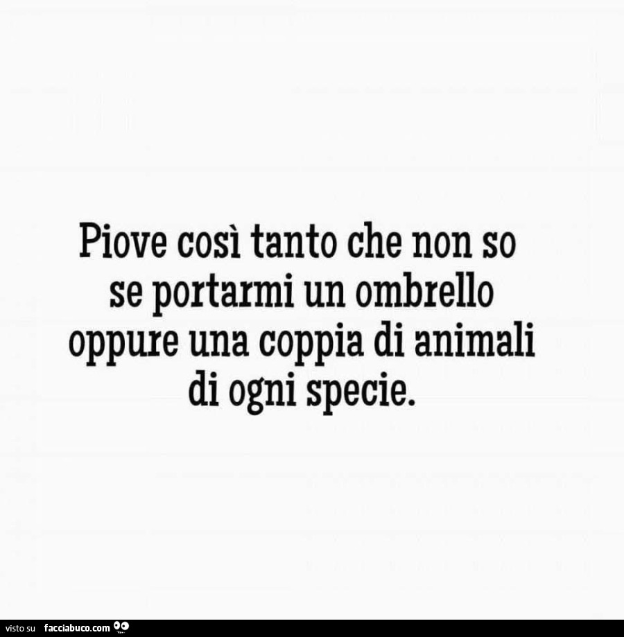Piove così tanto che non so se portarmi un ombrello oppure una coppia di animali di ogni specie