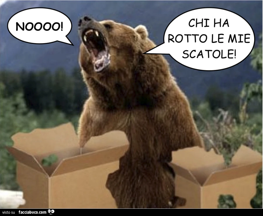 Scatole