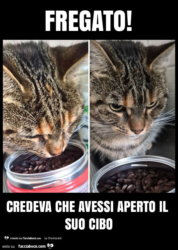 Fregato! Credeva che avessi aperto il suo cibo