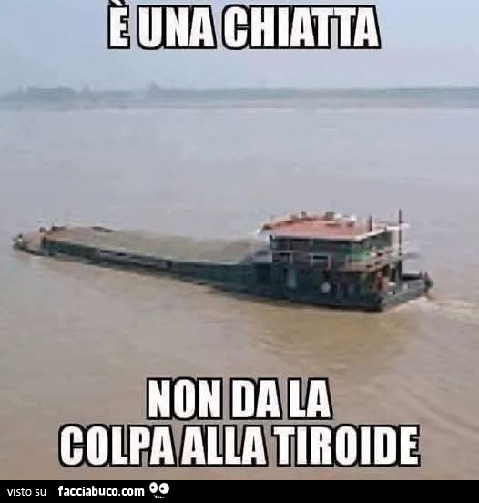 Vaccata