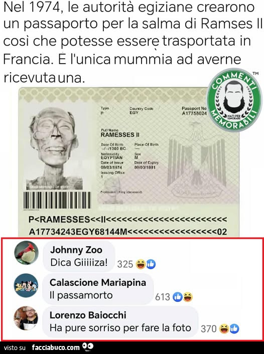 Vaccata