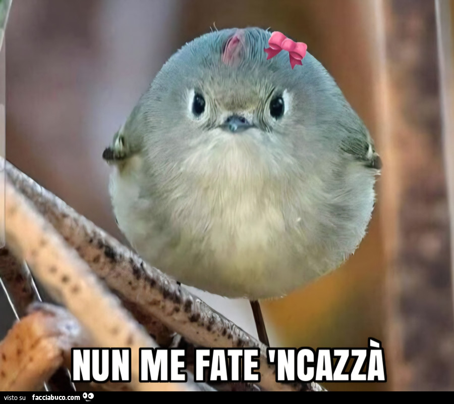 Nun me fate 'ncazzÀ