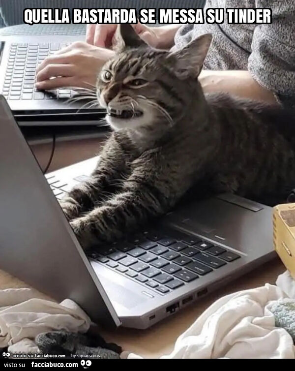 Quella bastarda se messa su tinder