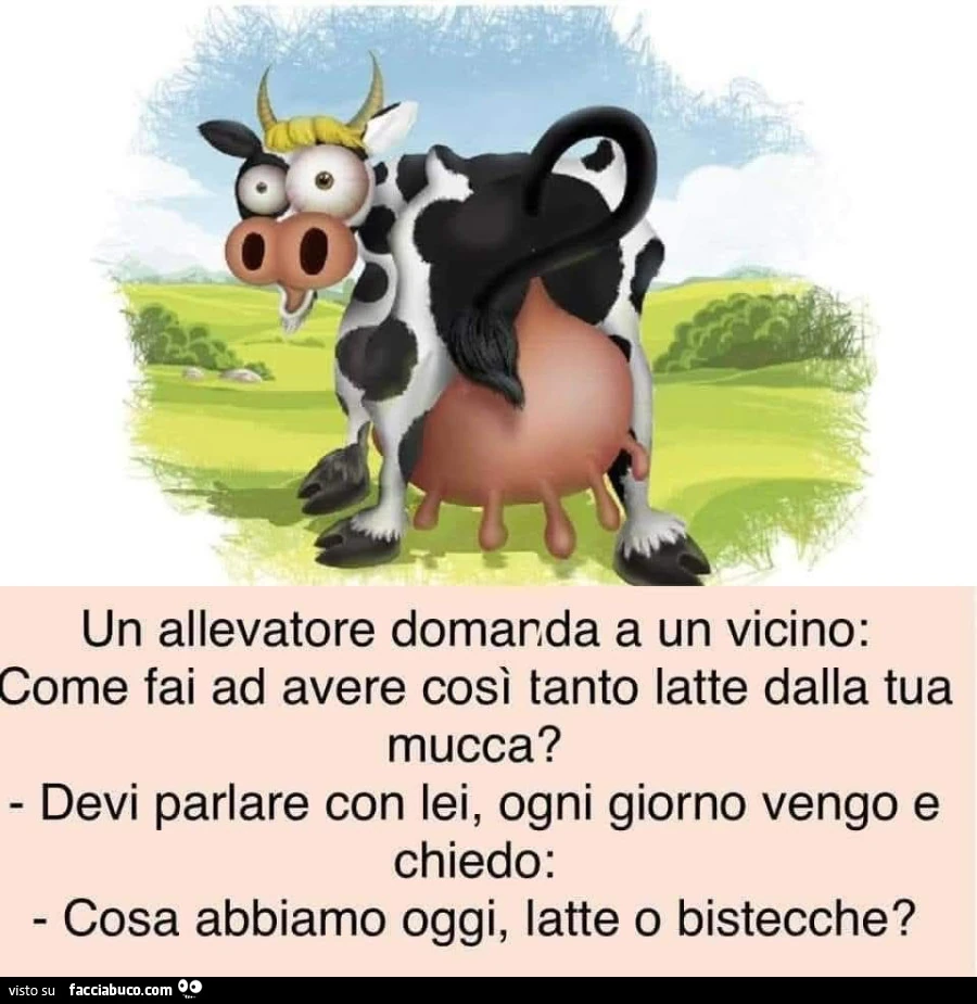 Vaccata