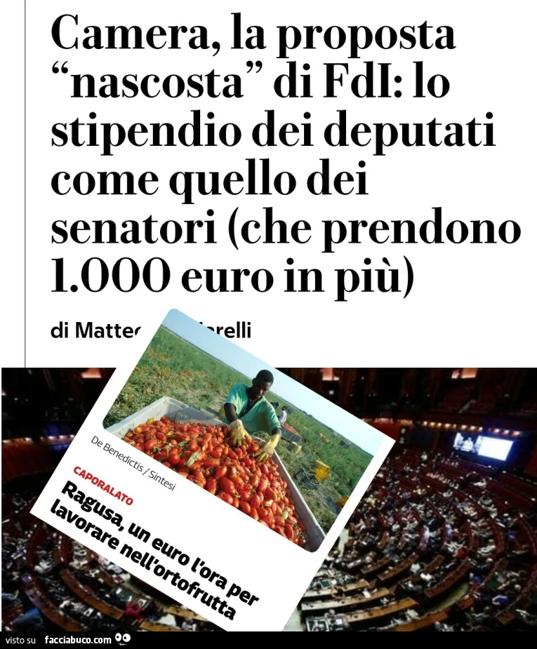 Vaccata