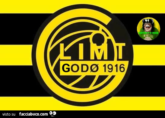 Godo glimt