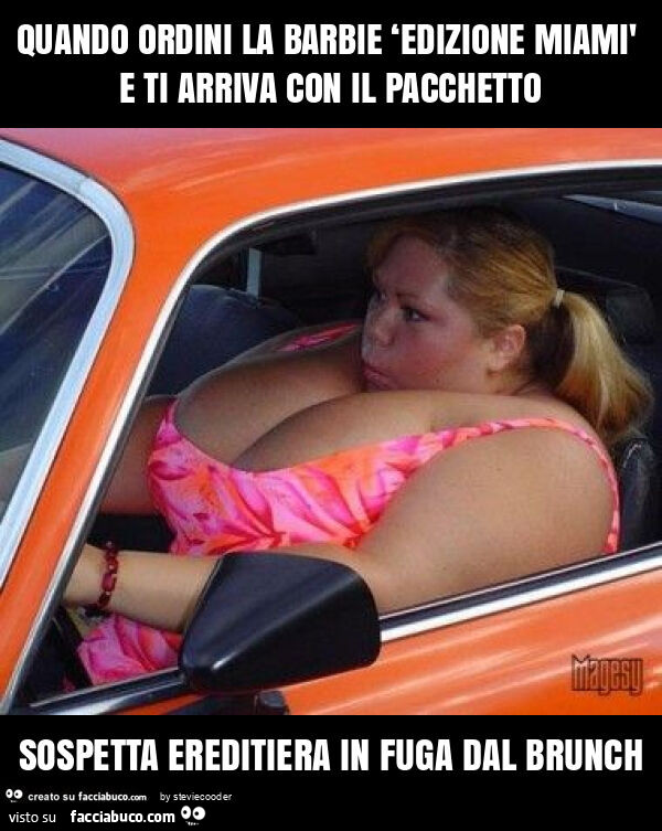 Quando ordini la barbie ‘edizione miamì e ti arriva con il pacchetto sospetta ereditiera in fuga dal brunch