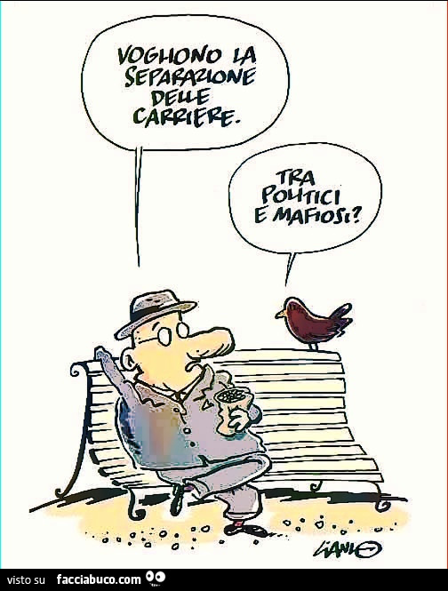 Vogliono la separazione delle carriere. Tra politici e mafiosi?