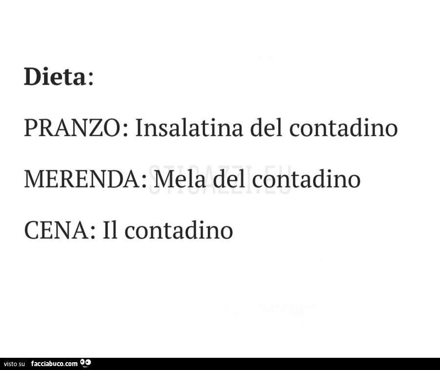 Dieta: pranzo: insalatina del contadino, merenda: mela del contadino, cena: il contadino