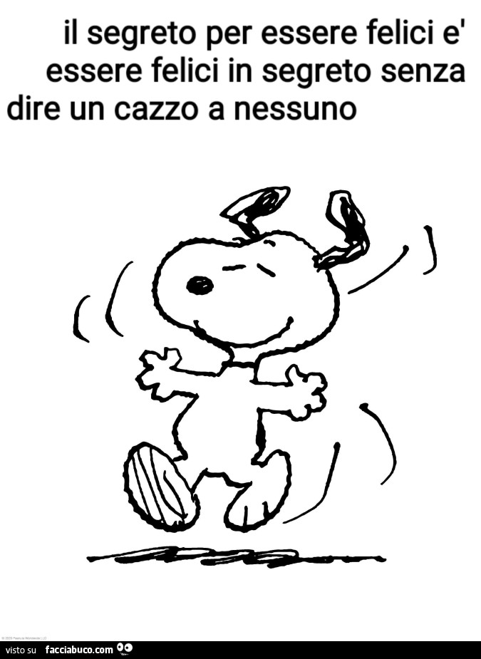 Il segreto per essere felici è essere felici in segreto senza dire un cazzo a nessuno