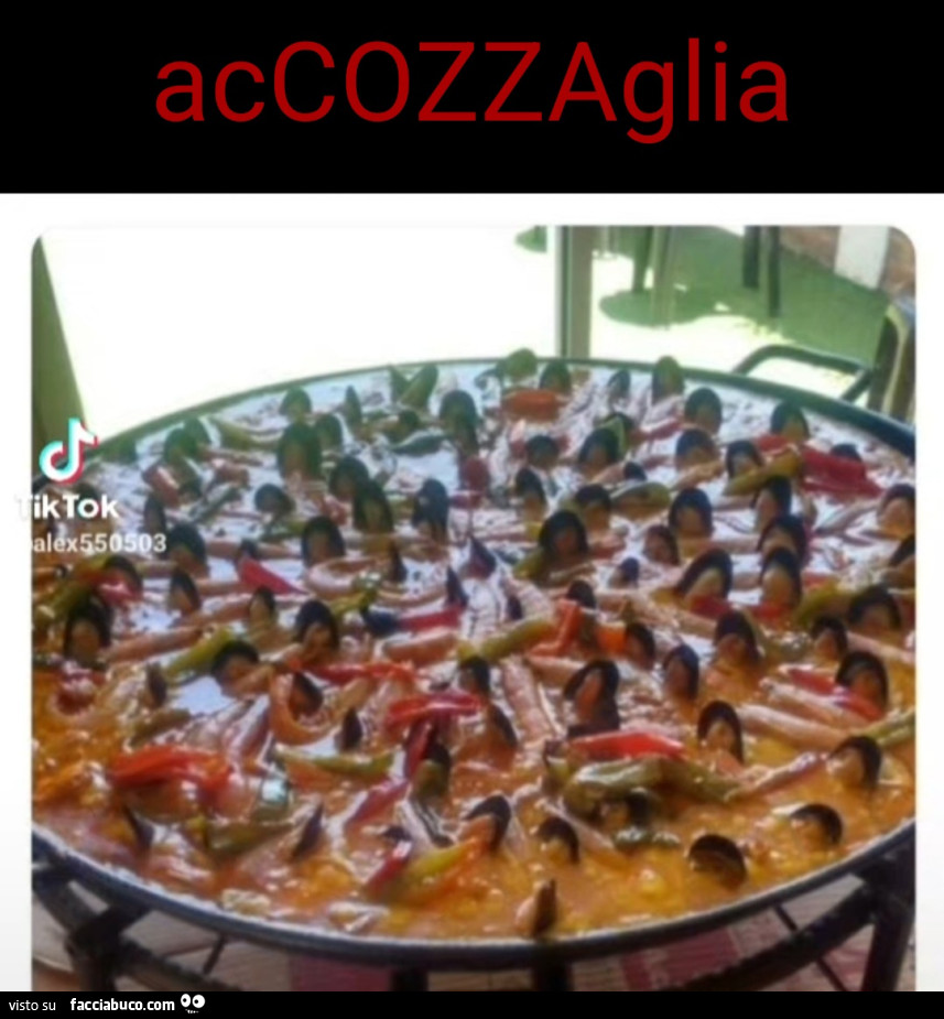 Vaccata