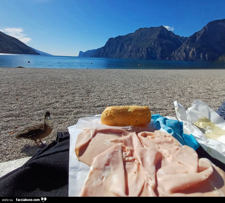 Lago di Garda mortadella spiaggia