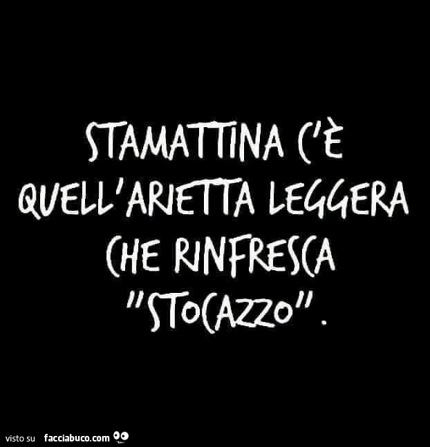 Stamattina c'è quell'arietta leggera che rinfresca stocazzo