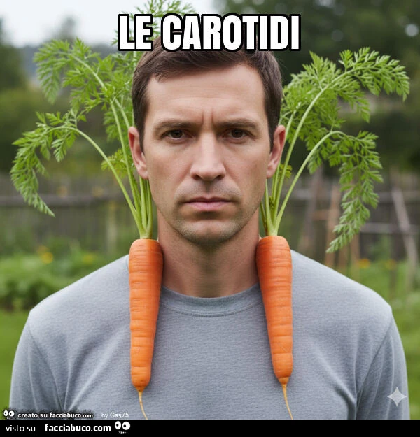Le carotidi