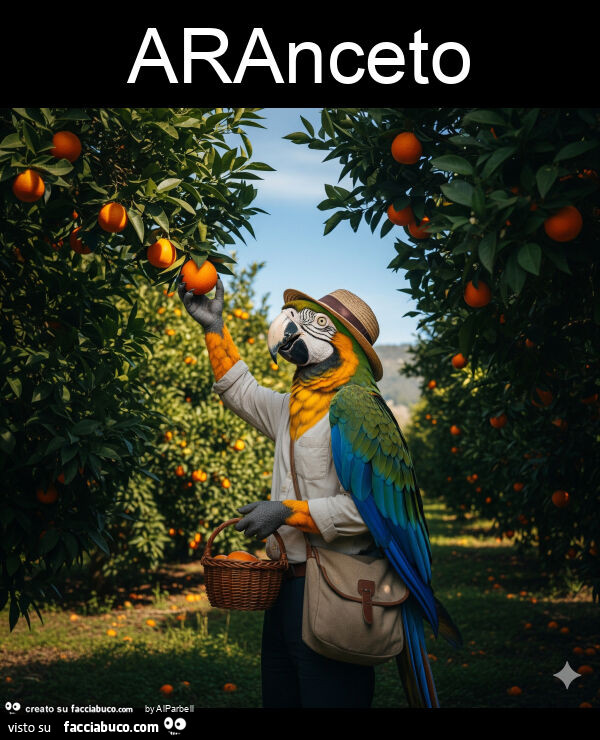Aranceto