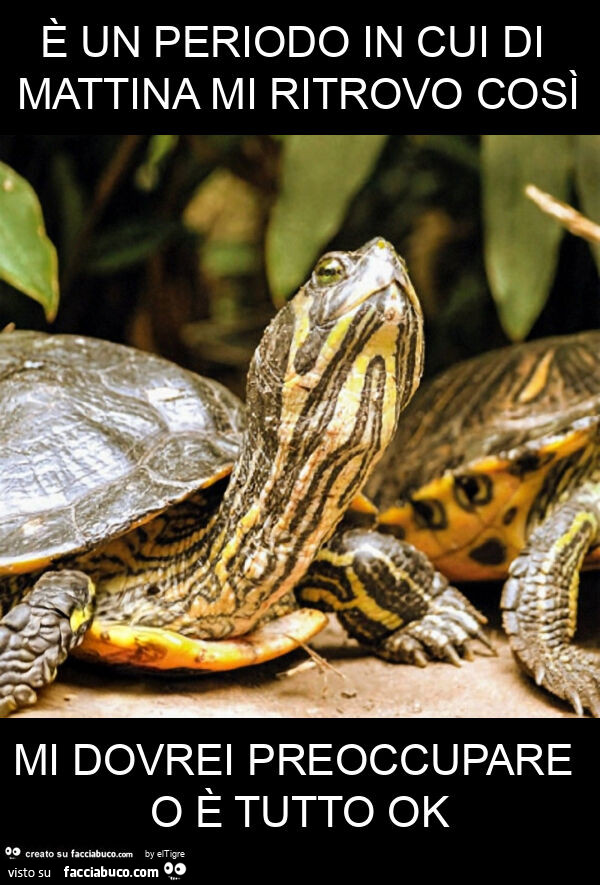 È un periodo in cui di mattina mi ritrovo così mi dovrei preoccupare o è tutto ok