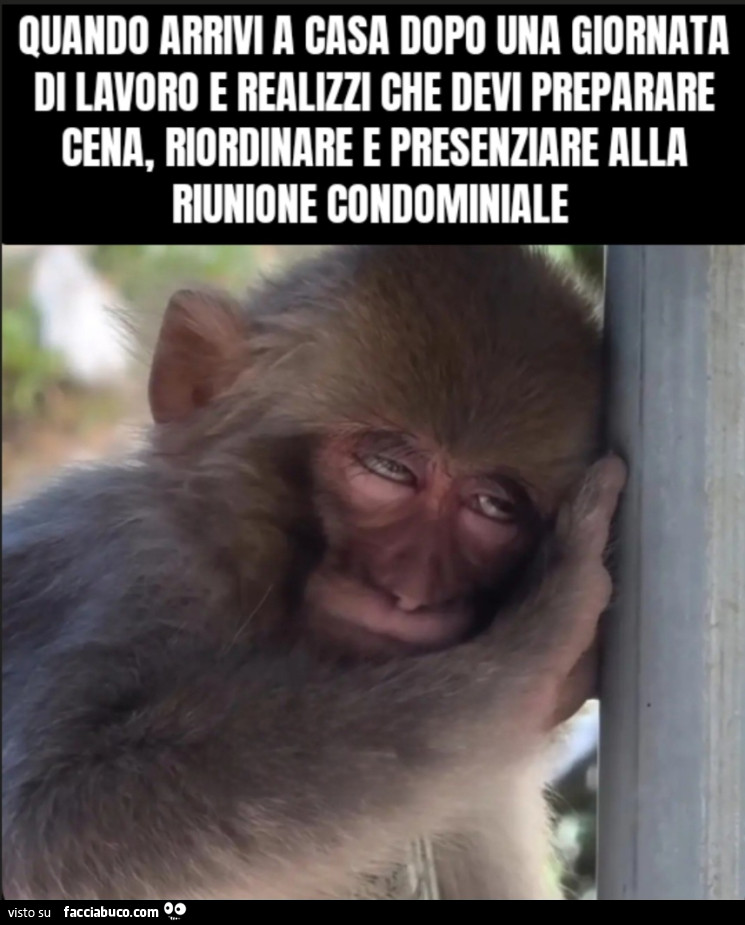 Quando arrivi a casa dopo una giornata di lavoro e realizzi che devi preparare cena, riordinare e presenziare alla riunione condominiale