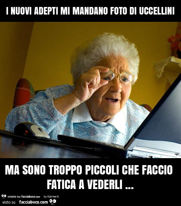 I nuovi adepti mi mandano foto di uccellini ma sono troppo piccoli che faccio fatica a vederli