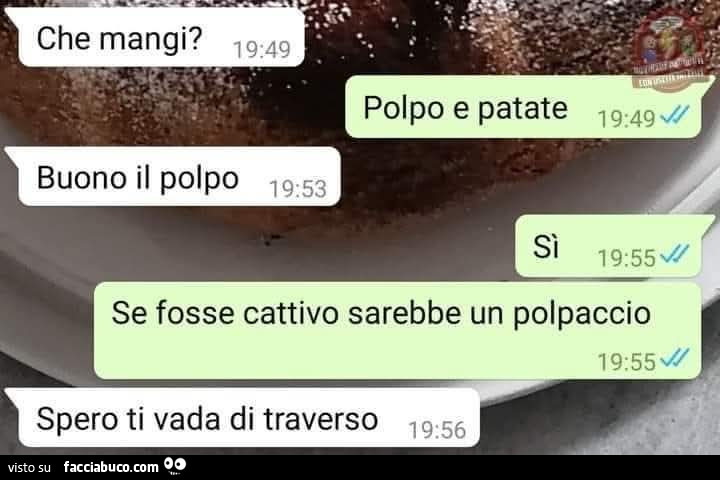 Polpo
