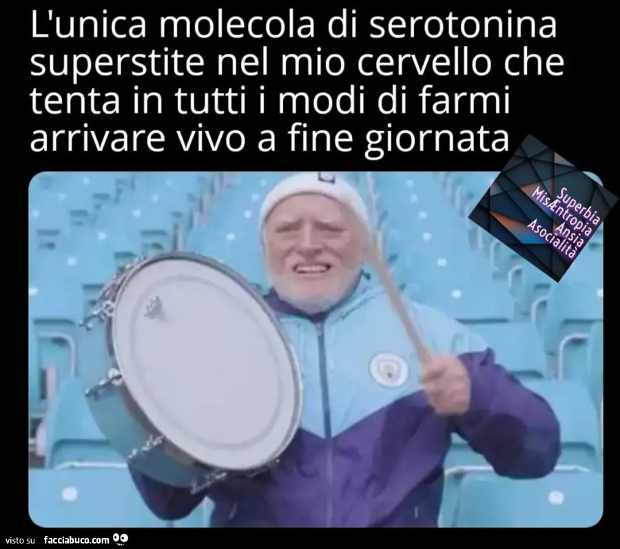 L'unica molecola di serotonina superstite nel mio cervello che tenta in tutti i modi di farmi arrivare vivo a fine giornata
