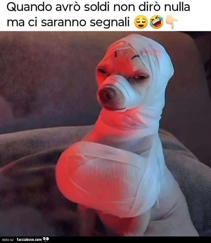Vaccata