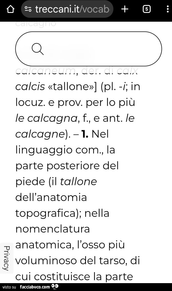 Vaccata