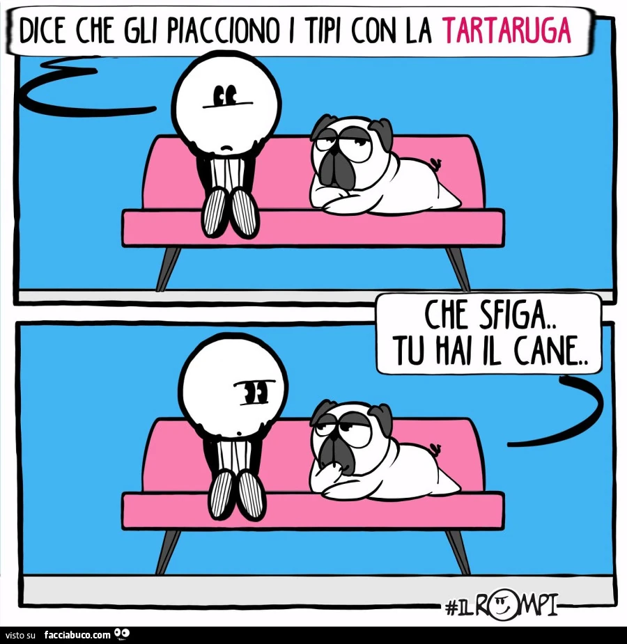 Tartaruga