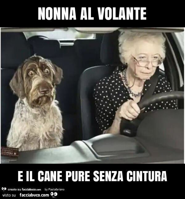 Nonna al volante e il cane pure senza cintura