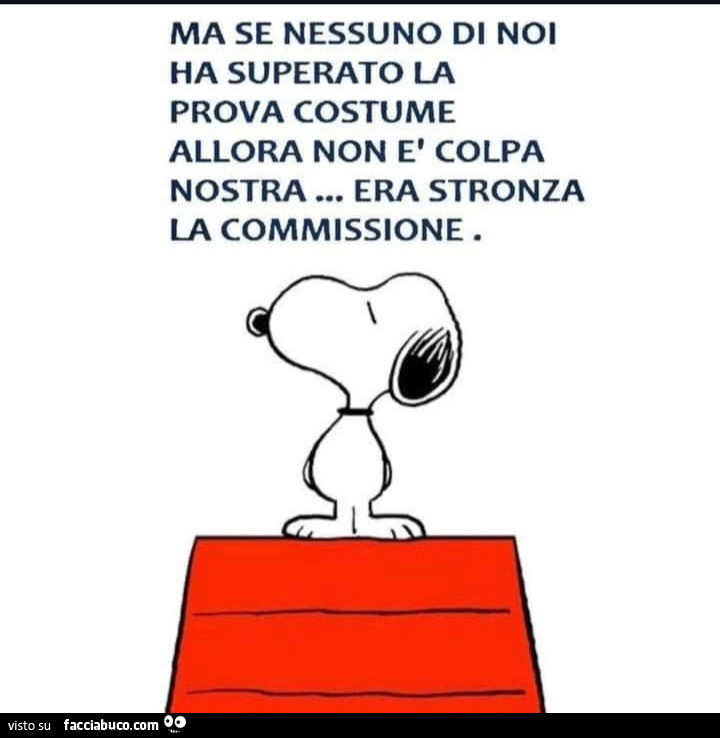 Ma se nessuno di noi ha superato la prova costume allora non è colpa nostra… era stronza la commissione