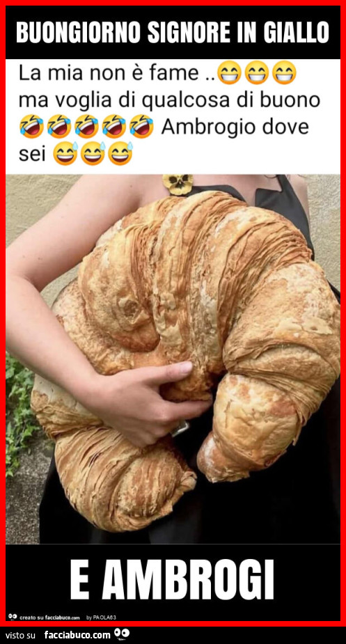 Buongiorno signore in giallo e ambrogi