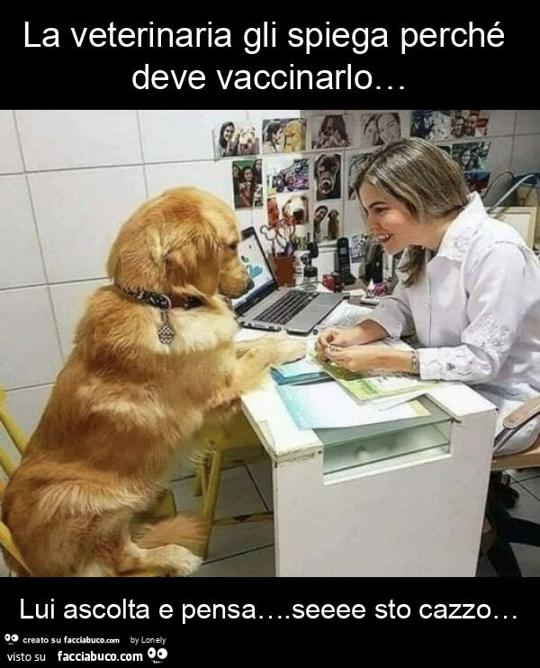 La veterinaria gli spiega perché deve vaccinarlo… lui ascolta e pensa… . Seeee sto cazzo…