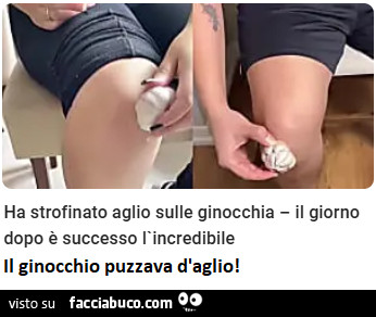 Vaccata