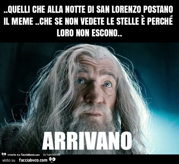 Quelli che alla notte di san lorenzo postano il meme. Che se non vedete le stelle è perché loro non escono