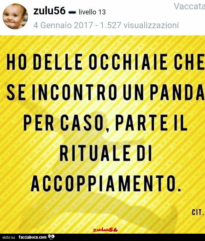Vaccata