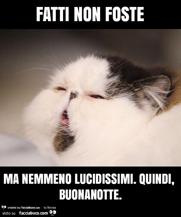 Fatti non foste ma nemmeno lucidissimi. Quindi, buonanotte
