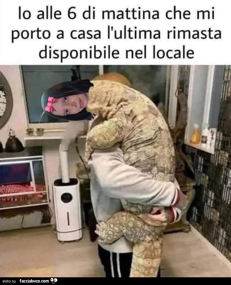 Vaccata