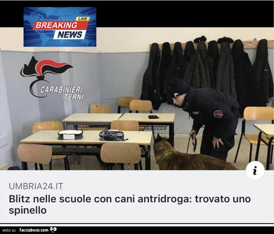 Vaccata